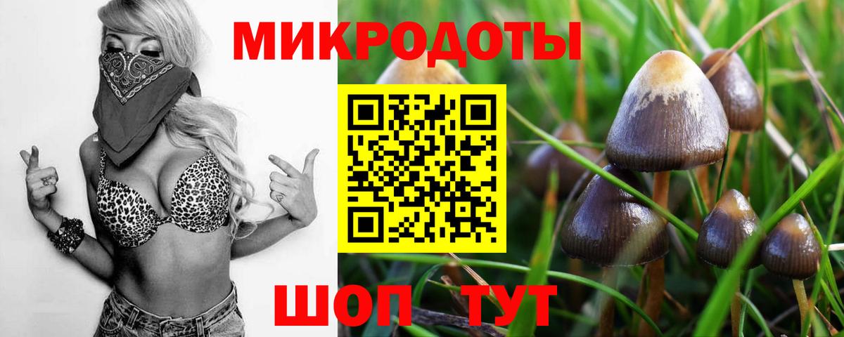 Псилоцибиновые грибы ЛСД Богородицк