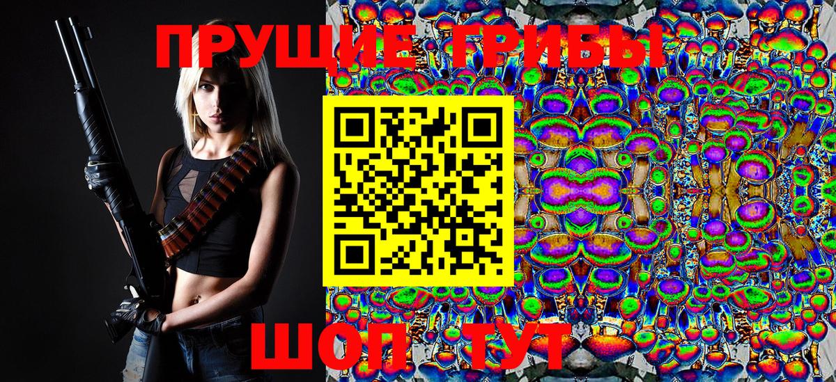 Псилоцибиновые грибы MAGIC MUSHROOMS  Вход с VPN  Богородицк 